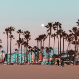 Photo of the Santa Monica beach with palm trees and city skyscrapers in the background.